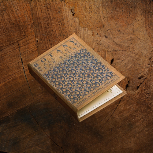 Botany All Year Round - PRE ORDER